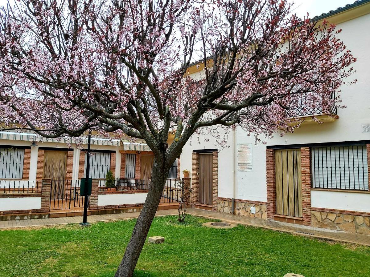 Del Romero Arroyo Frío Exterior foto